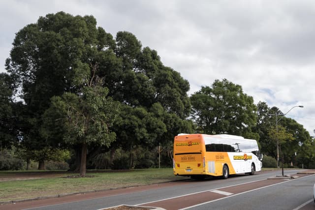 Horizons West bus in Perth